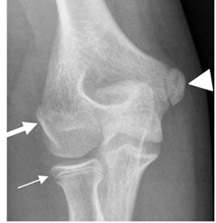 Documento sin título